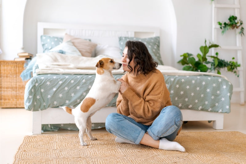 Pet Pawrents, This Is For YOU!
