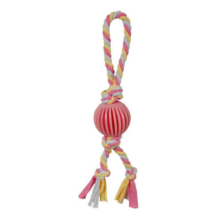 SmartPetLove Puppy&#39;s 1st Toys - Ball on Rope