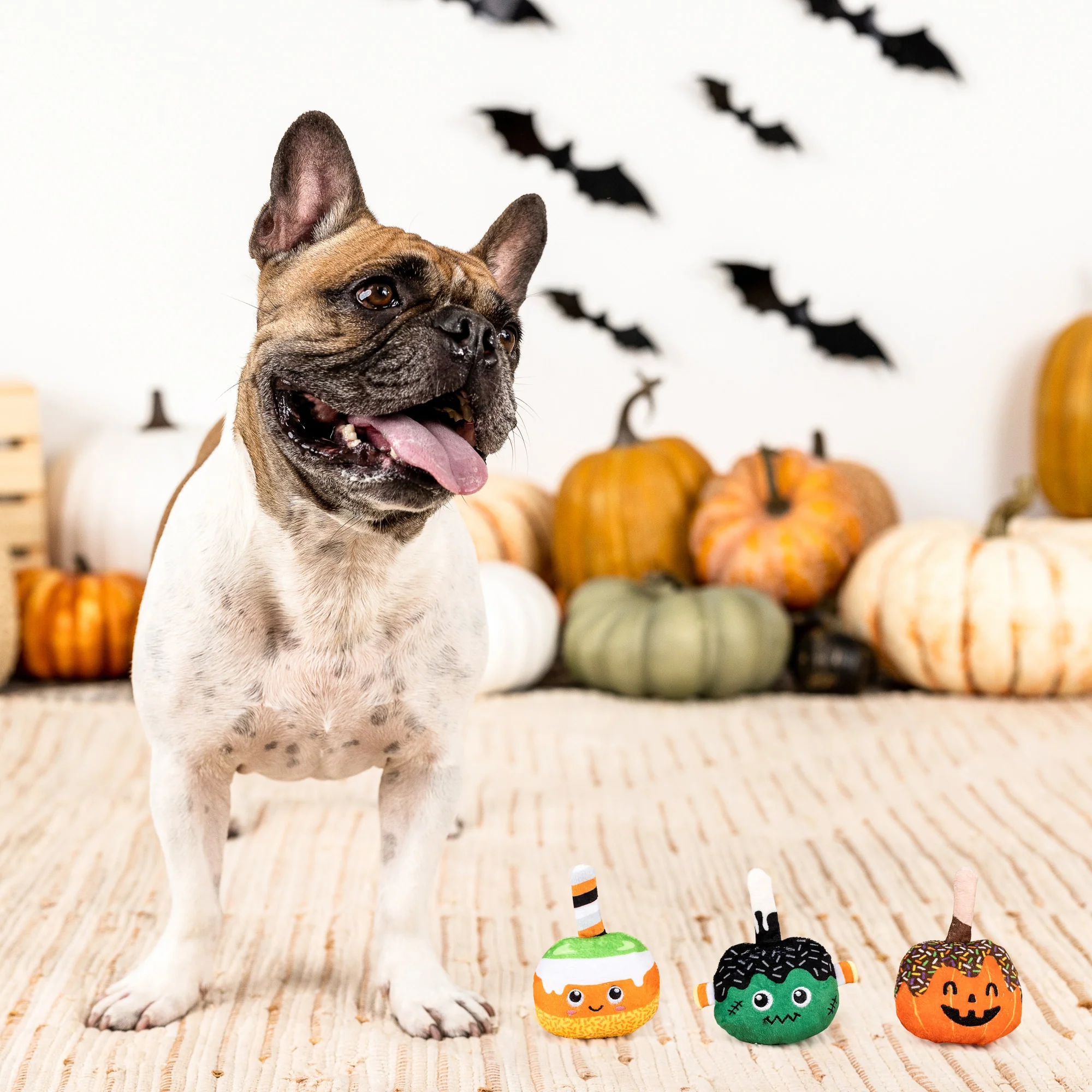 PetShop by Fringe Studios - No Tricks, Just Treats