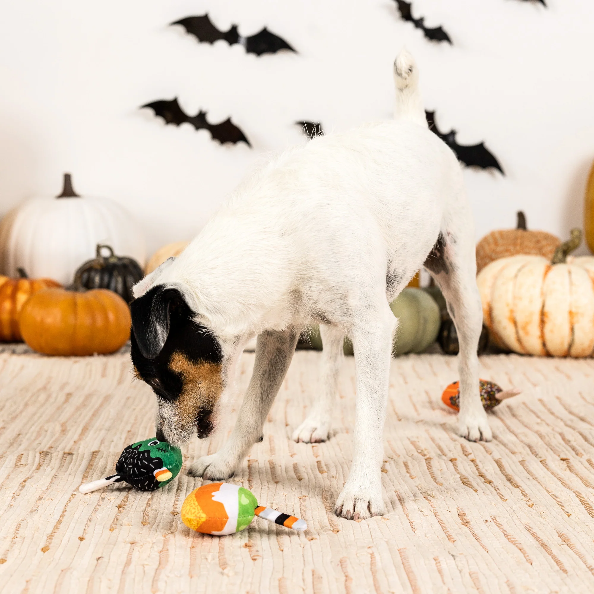 PetShop by Fringe Studios - No Tricks, Just Treats