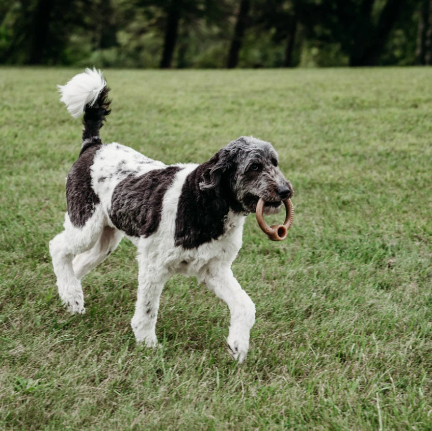 Benebone - Ring