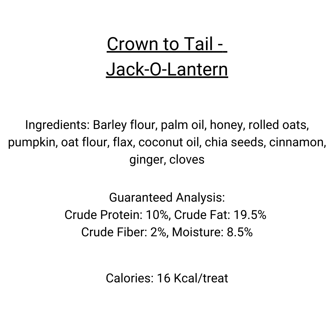 Crown to Tail Jack-O-Lantern Soft Chew Dog Treats