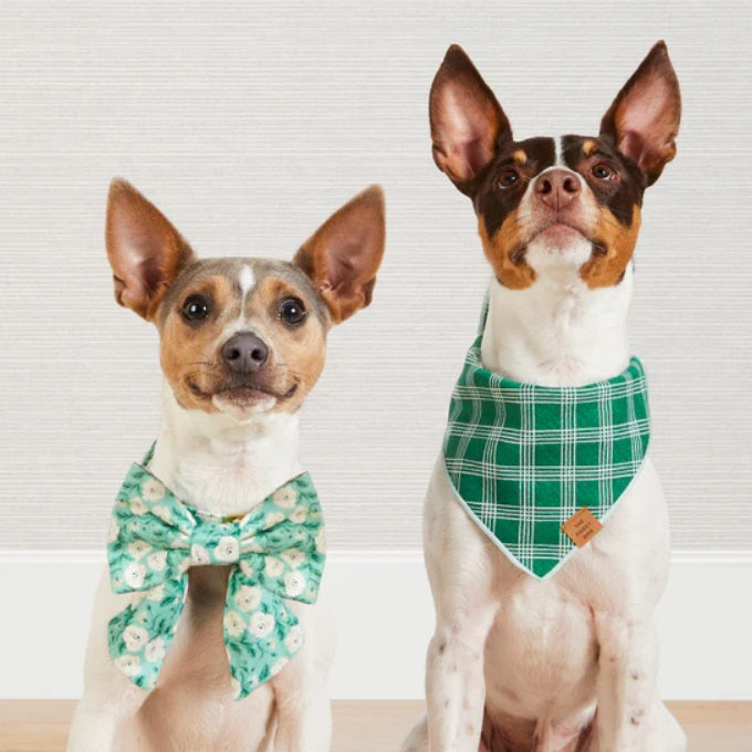 The Foggy Dog - Emerald Plaid Bandana