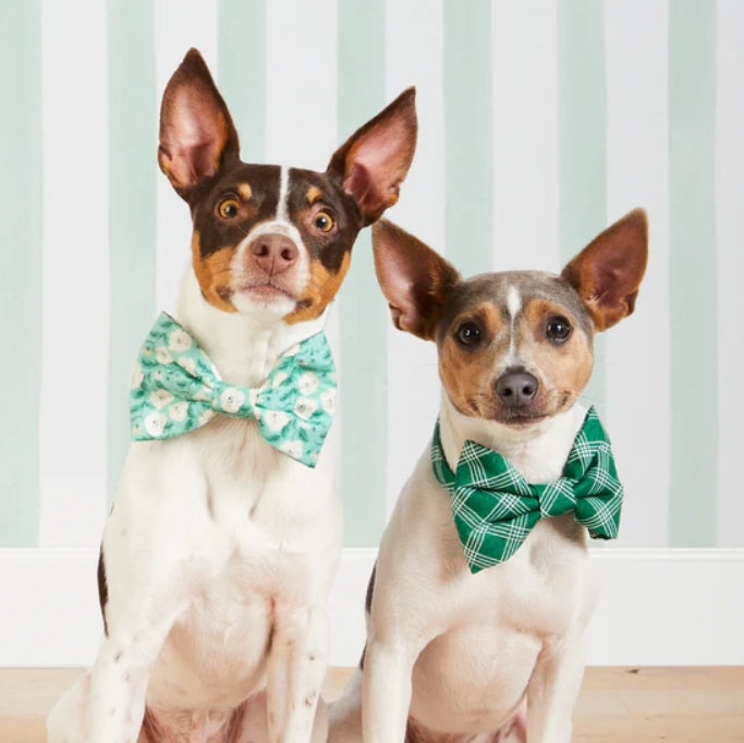 The Foggy Dog - Emerald Plaid Bow Tie