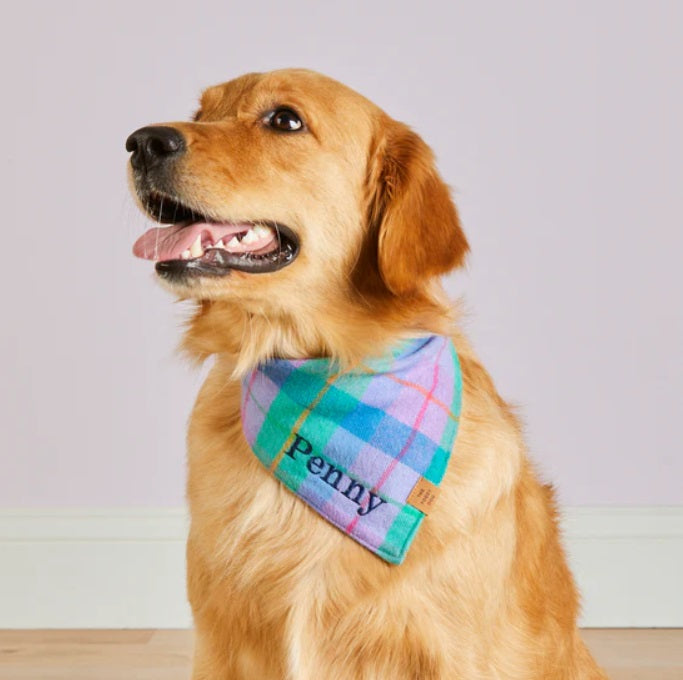 The Foggy Dog - Fable Plaid Bandana