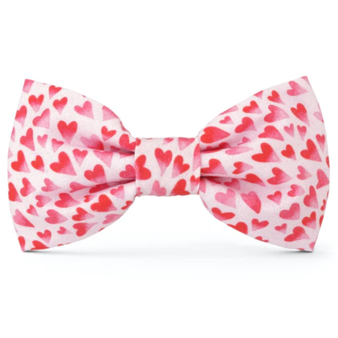 The Foggy Dog - Heart Throb Bow Tie