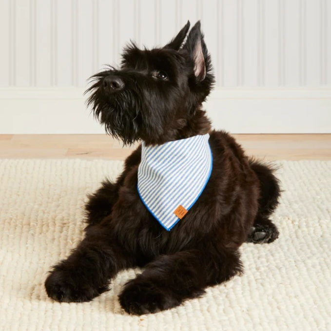 The Foggy Dog - Lake Blue Stripe Bandana