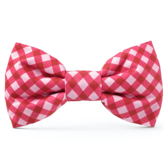 The Foggy Dog - Raspberry Gingham Bow Tie