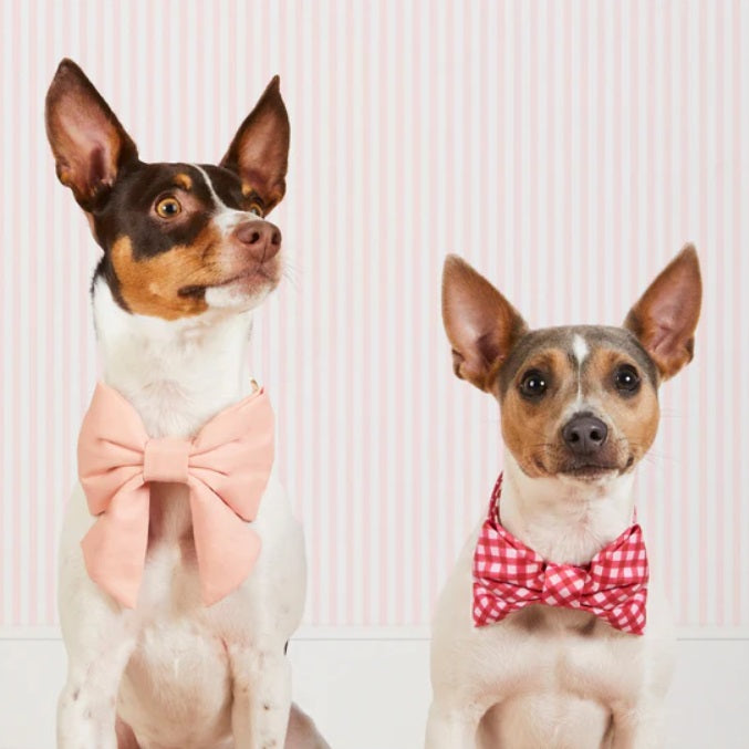 The Foggy Dog - Raspberry Gingham Bow Tie