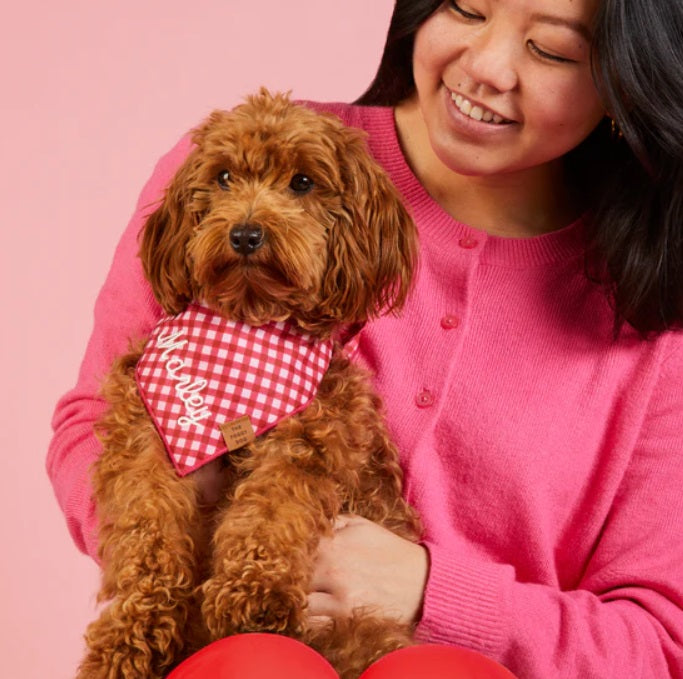 The Foggy Dog - Raspberry Gingham Bandana