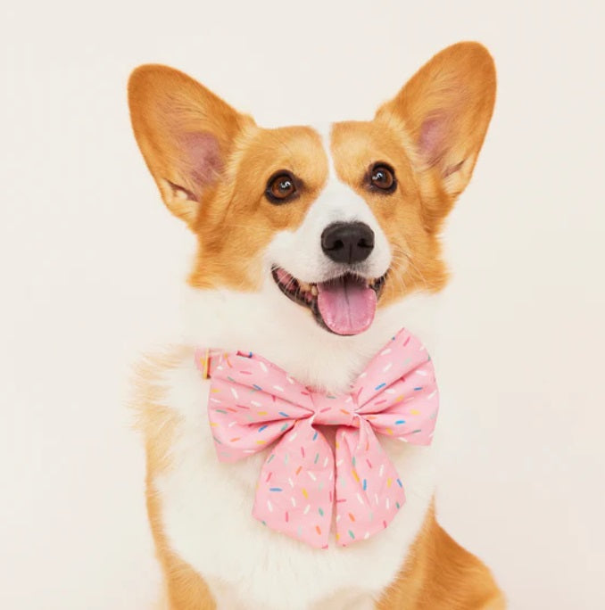 The Foggy Dog - Sprinkles Lady Bow Tie