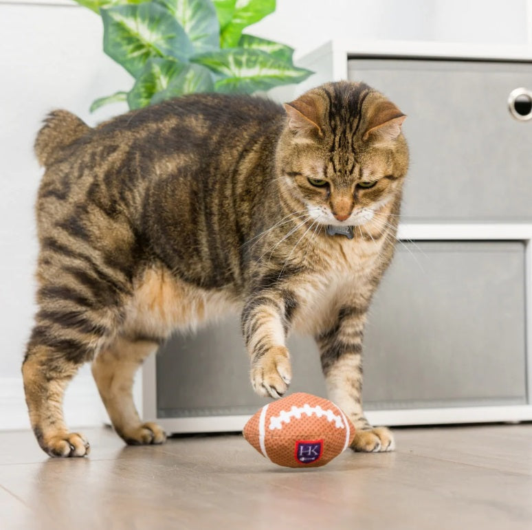 Kittybelles - Football