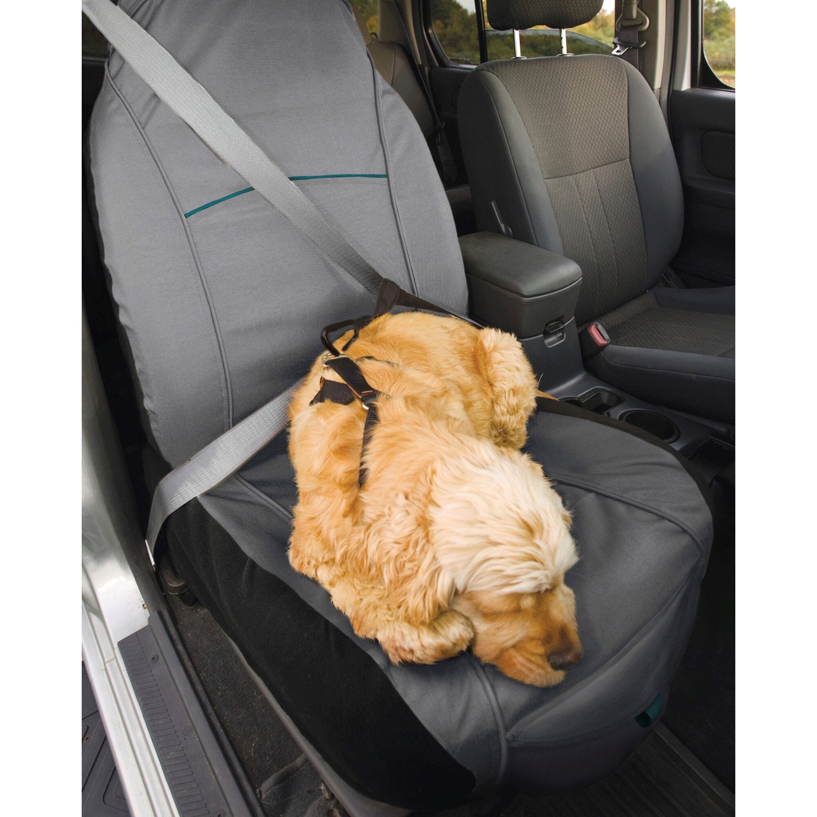 Kurgo Rover CoPilot Bucket Seat Cover Dog Car Safety King Duke s Beaverton