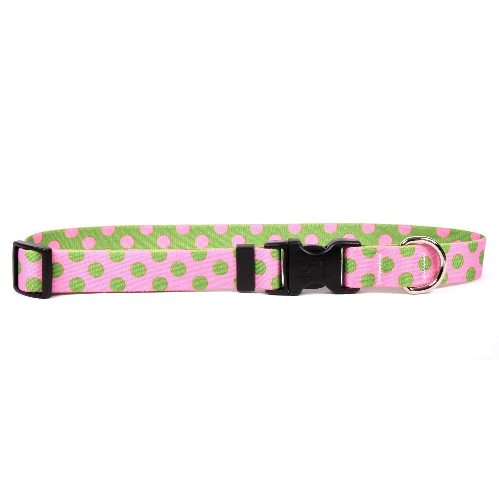 Yellow Dog Design - Pink &amp; Green Polka Dot Collar