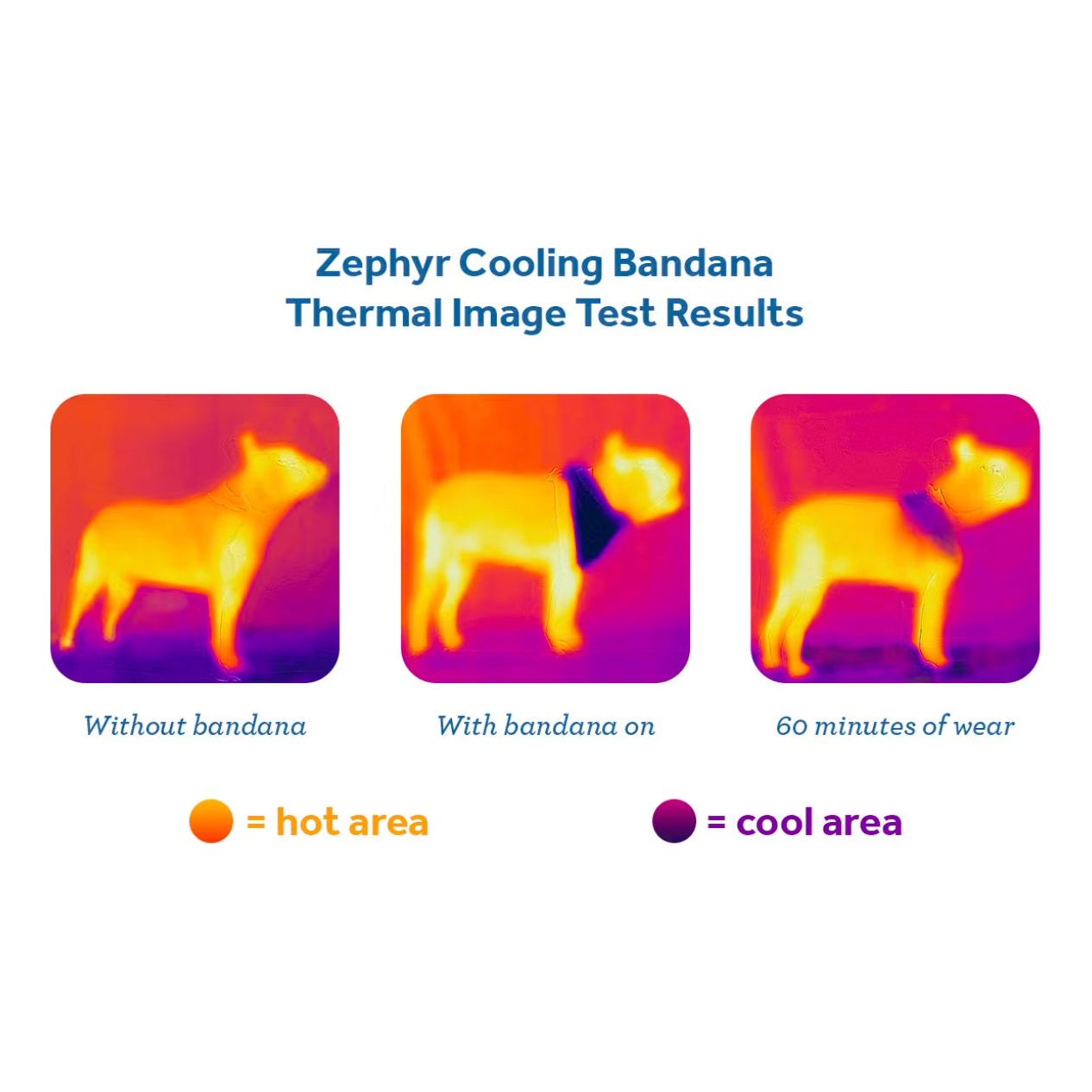 RC Pets - Zephyr Cooling Bandana