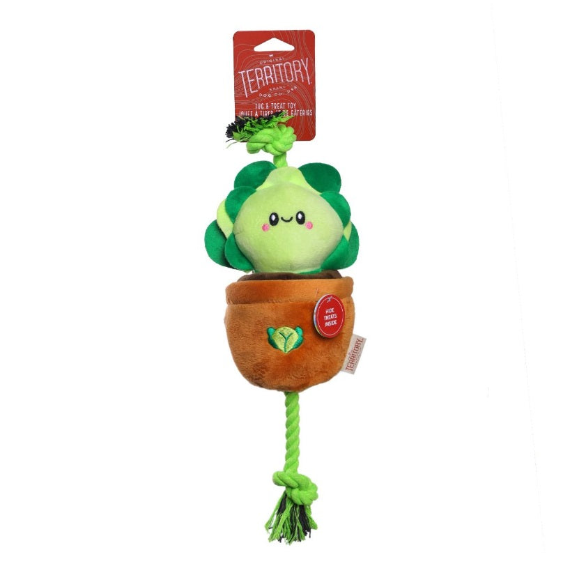 Territory - Lettuce Treat and Tug Toy