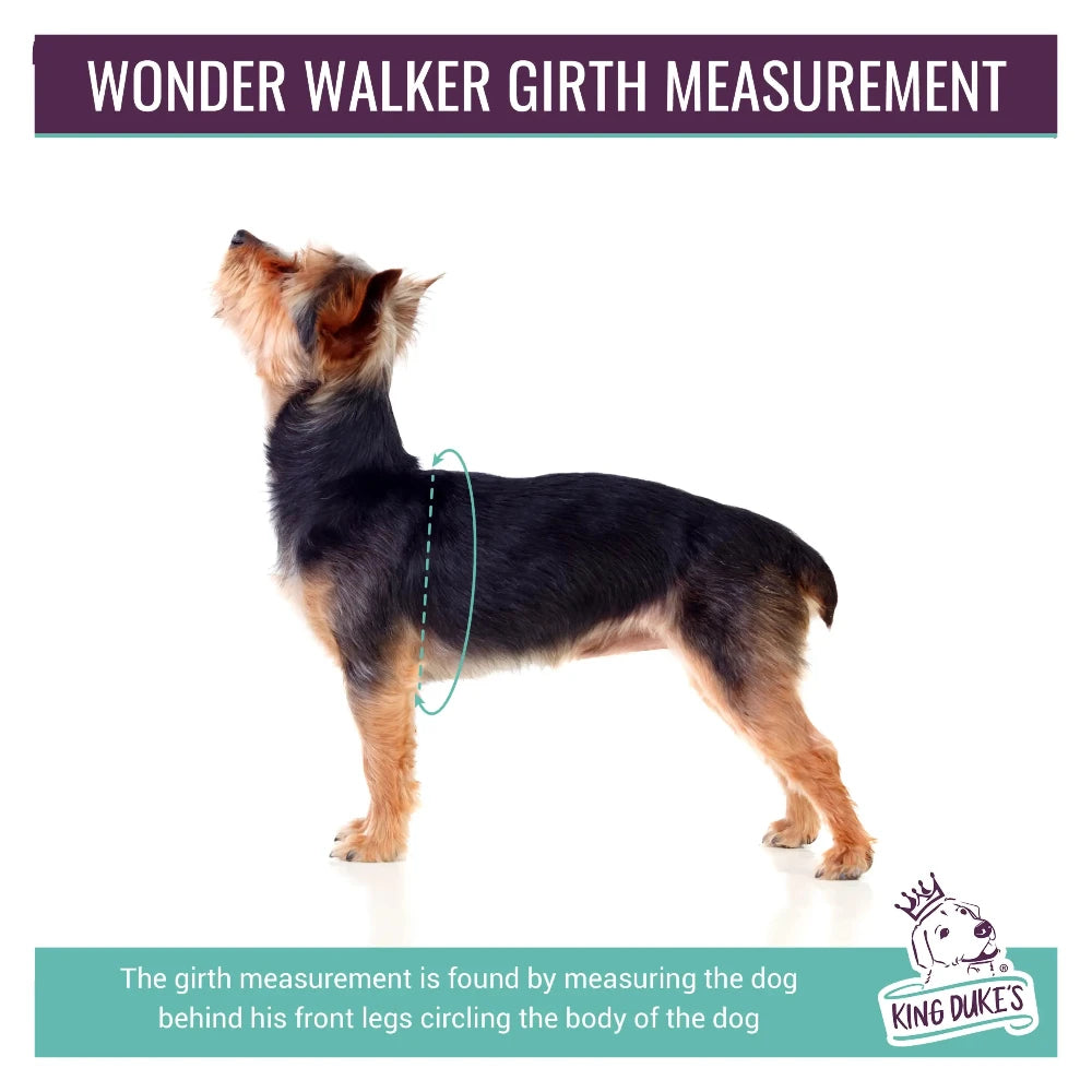 Wonder Walker How to get the girth measurement of your dog