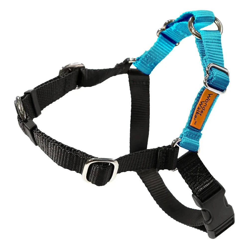 Wonder Walker No Pull Dog Harnesses in turquoise