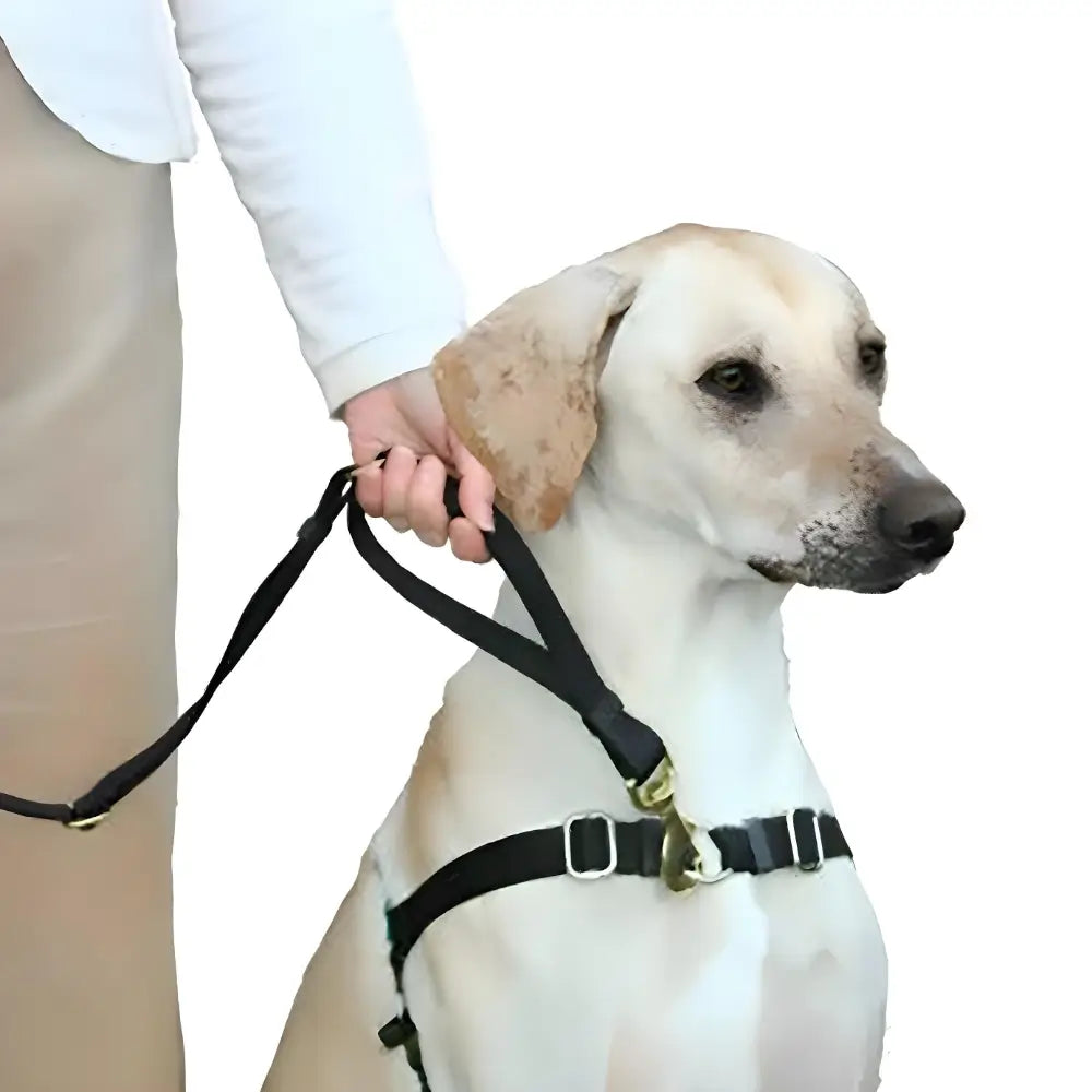 Wonder Walker nNo-Pull Harness and Service Leash