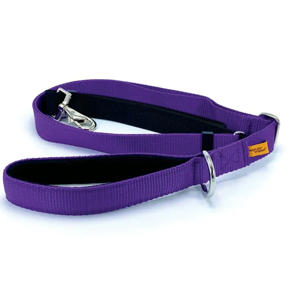 Wonder Walker Service Leash in Purple