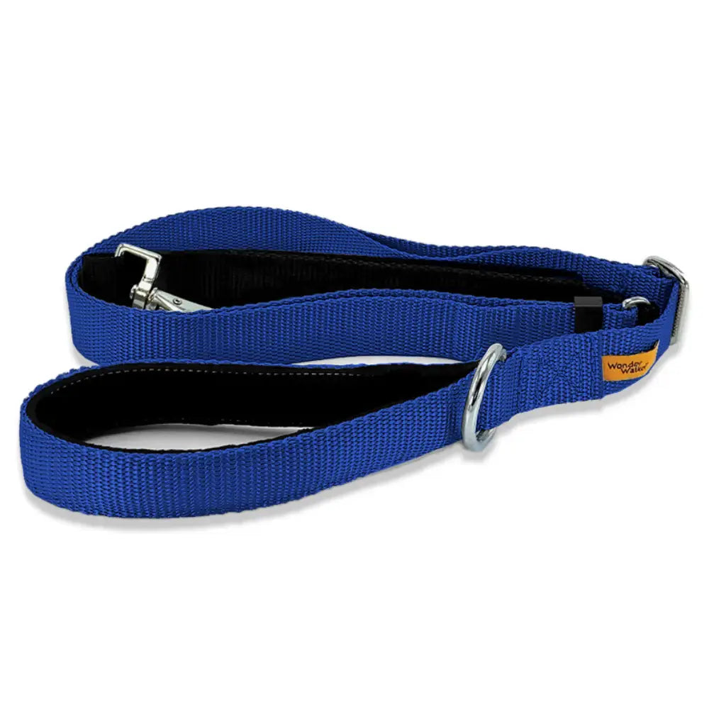 Wonder Walker Service Leash in Royal Blue