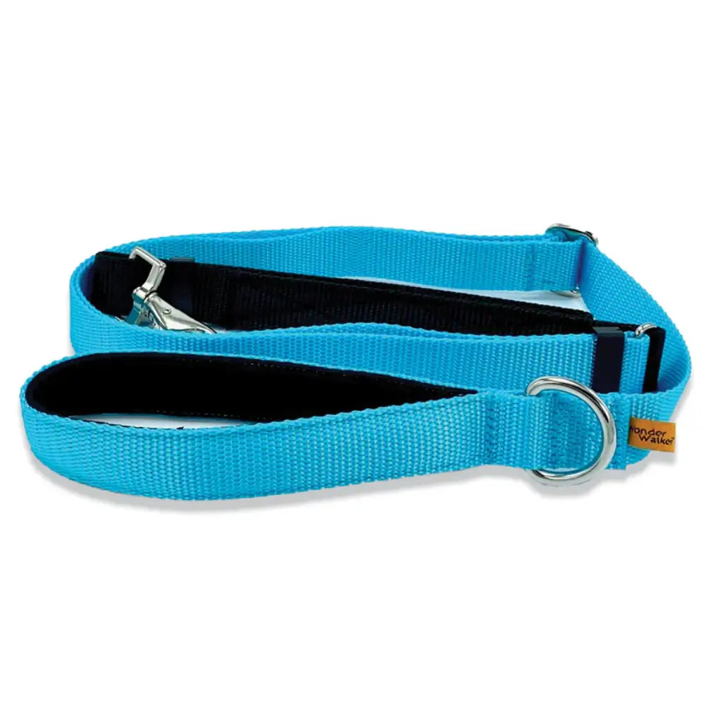 Wonder Walker Service Leash in Turquoise