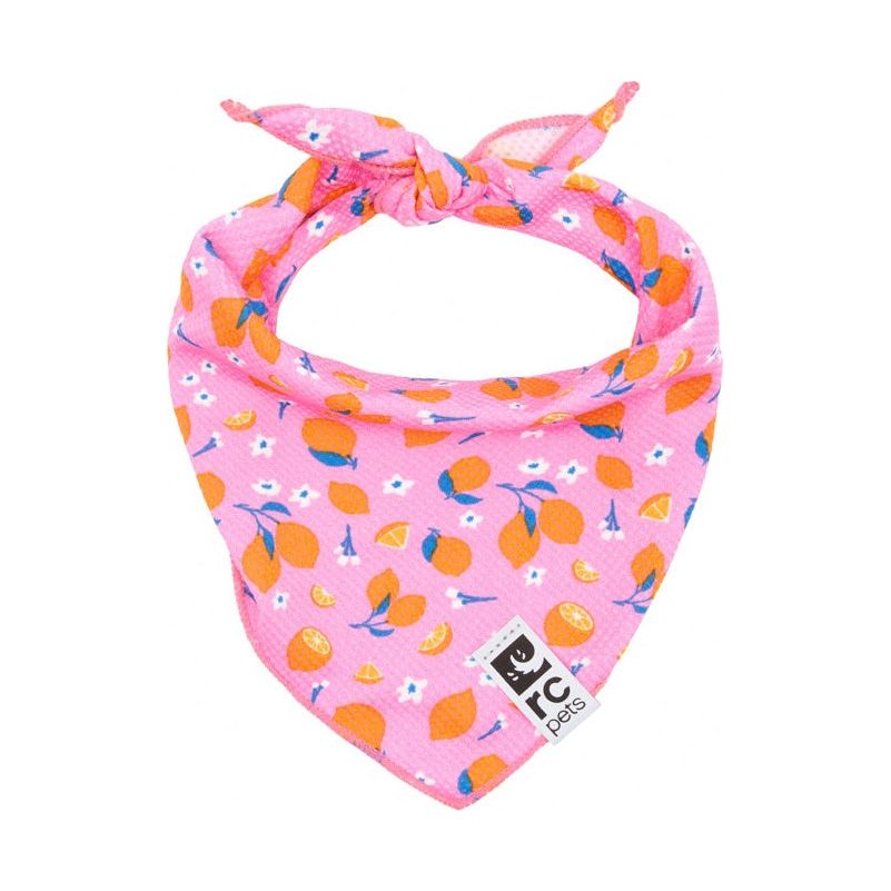 RC Pets - Zephyr Cooling Bandana