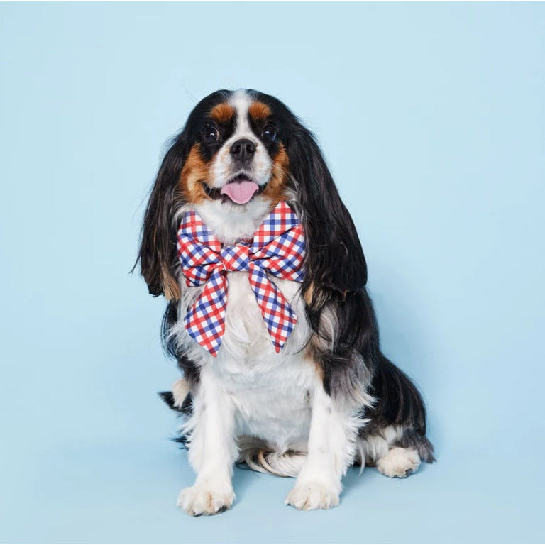 The Foggy Dog - Americana Lady Bow Tie