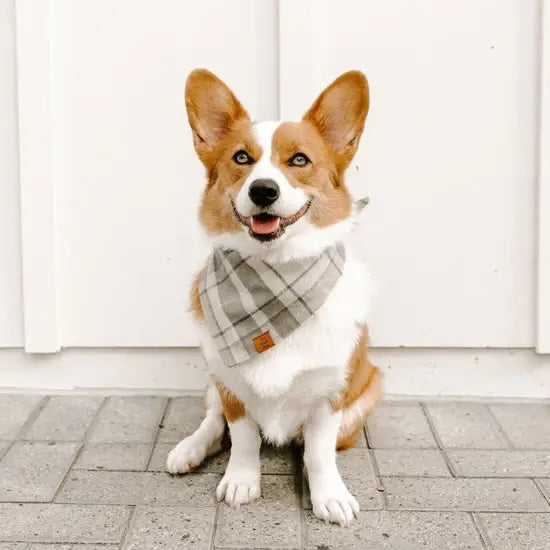 The Foggy Dog - Andover Plaid Flannel Bandana