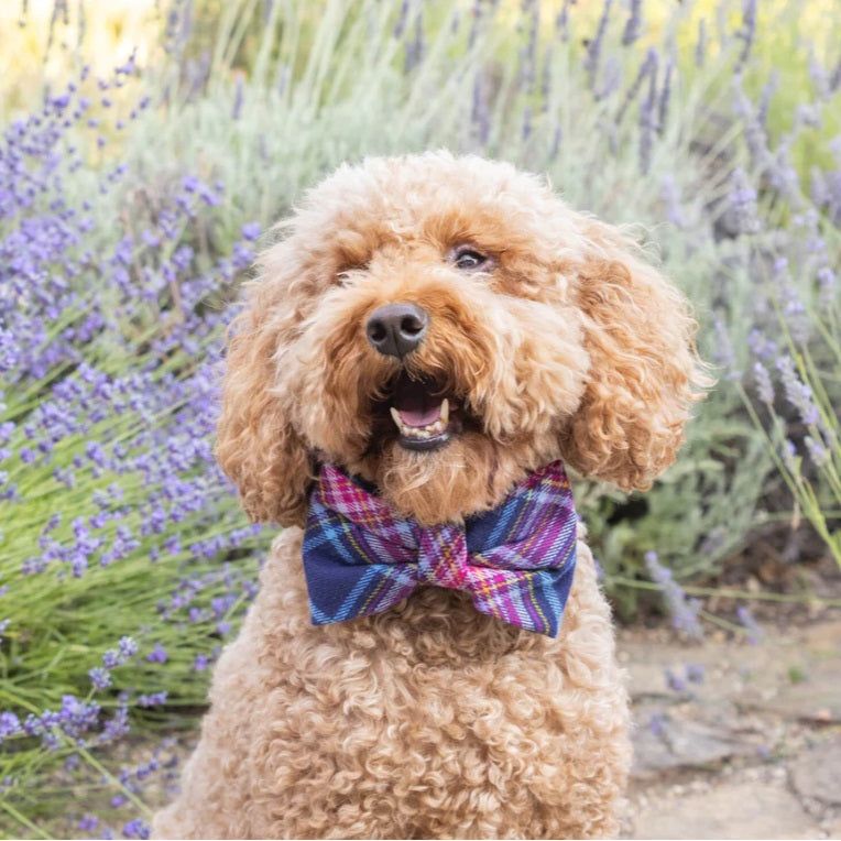 The Foggy Dog - Camilla Plaid Flannel Bow Tie