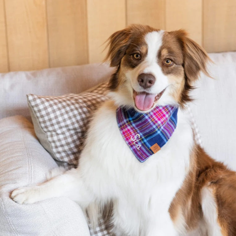 The Foggy Dog - Camilla Plaid Flannel Bandana