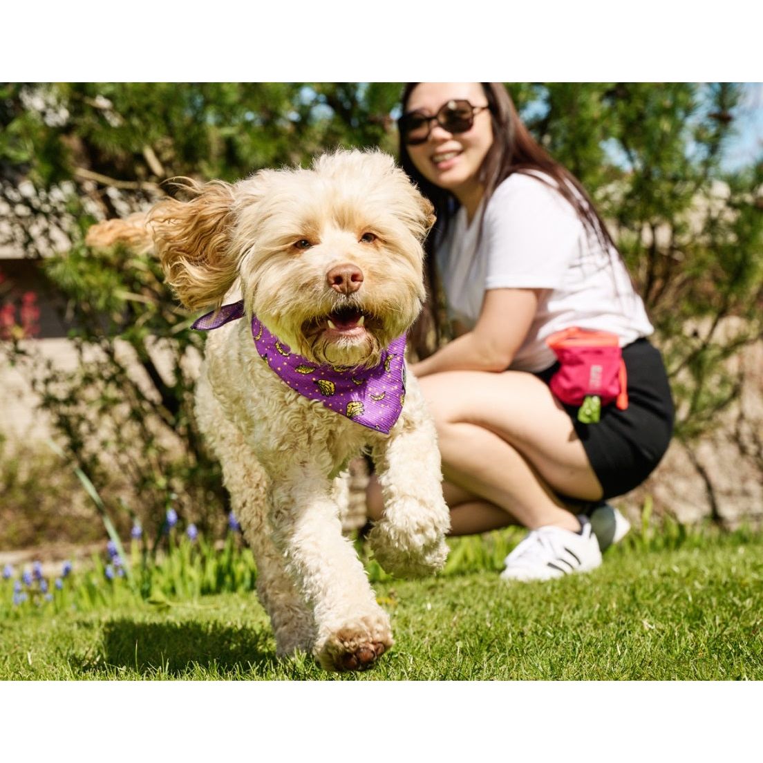 RC Pets - Zephyr Cooling Bandana