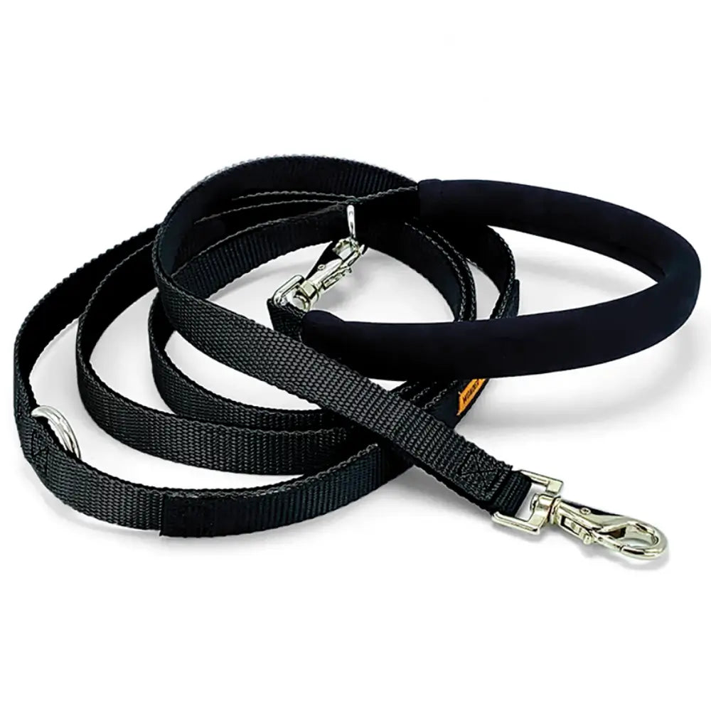 Dolan's Dog Doodads - The Cruiser Leash