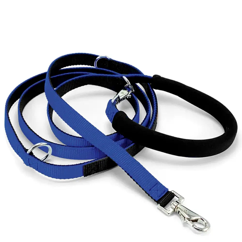 Dolan's Dog Doodads - The Cruiser Leash