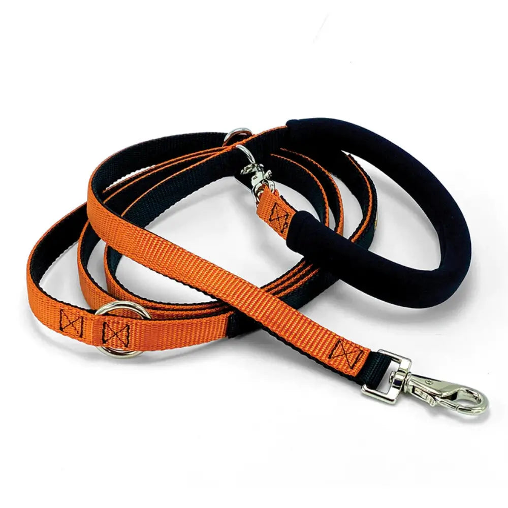 Dolan's Dog Doodads - The Cruiser Leash