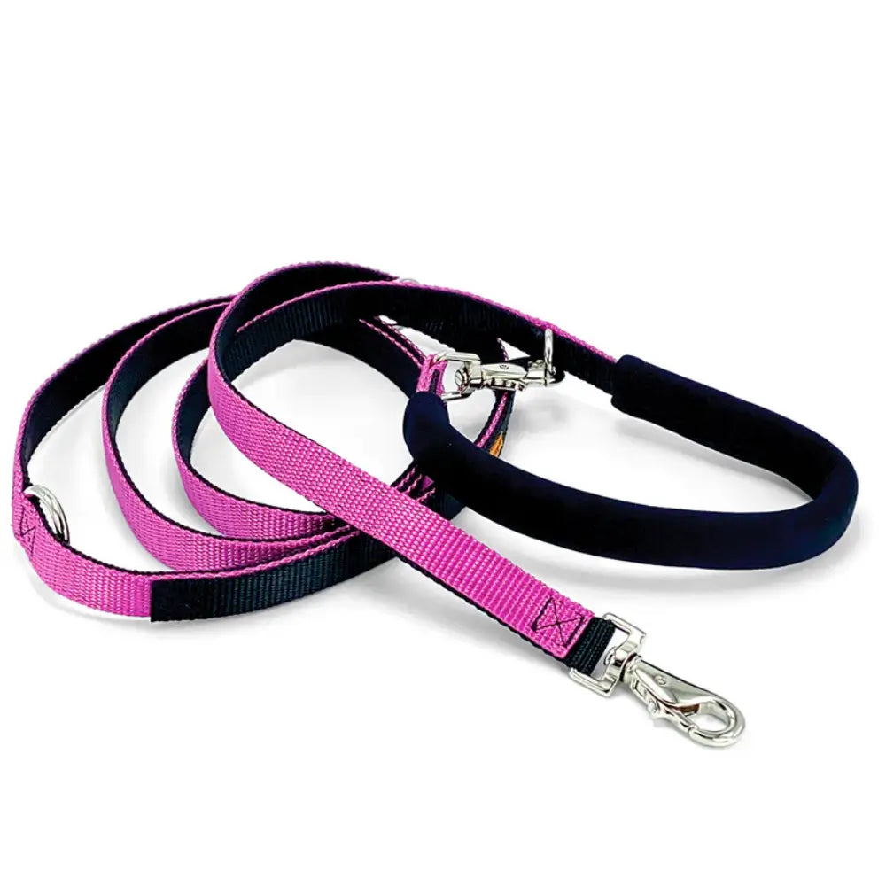 Dolan's Dog Doodads - The Cruiser Leash