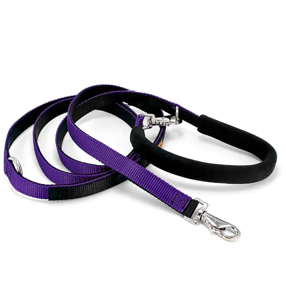 Dolan's Dog Doodads - The Cruiser Leash