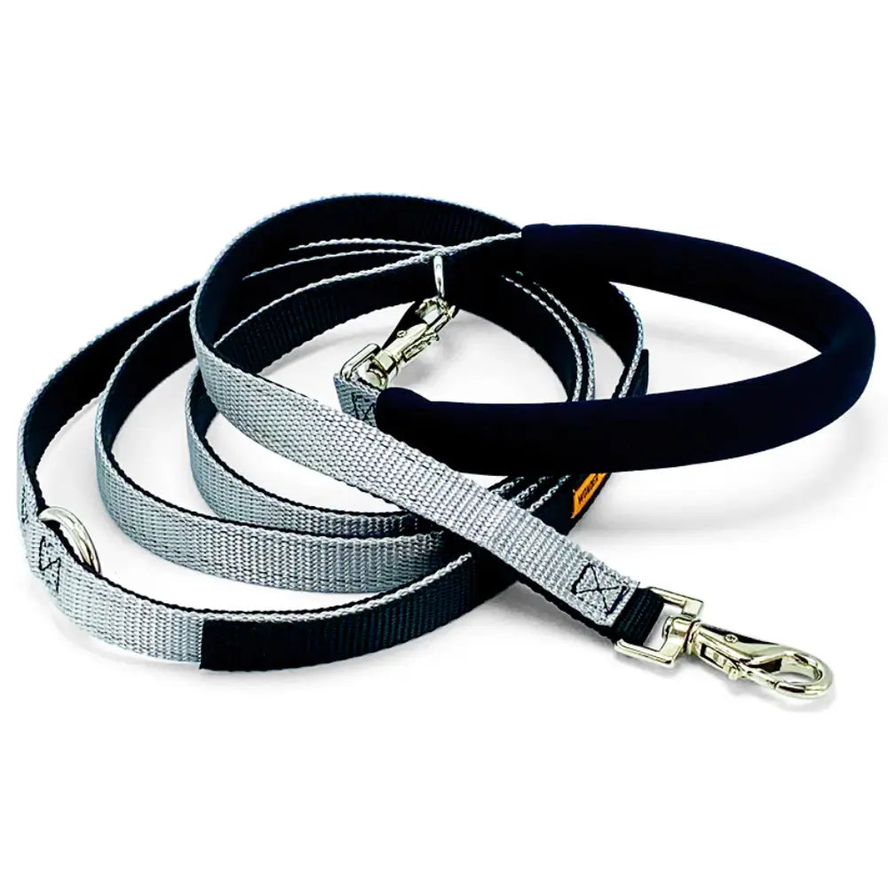 Dolan's Dog Doodads - The Cruiser Leash