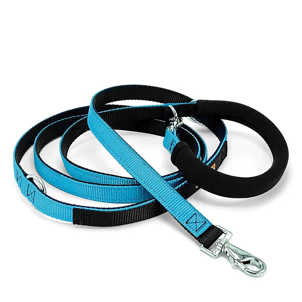 Dolan's Dog Doodads - The Cruiser Leash