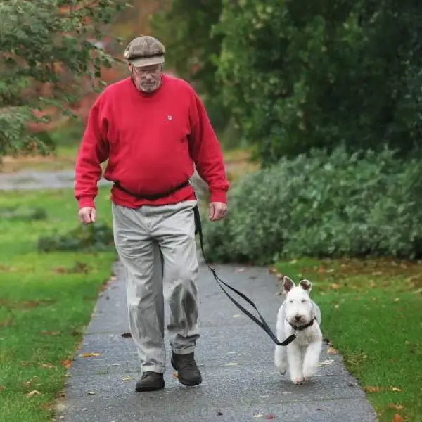 Dolan's Dog Doodads - Hands Free Walking/Jogging Belt