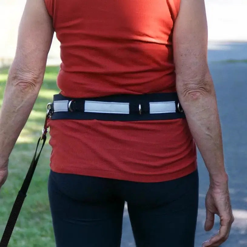 Dolan's Dog Doodads - Hands Free Walking/Jogging Belt