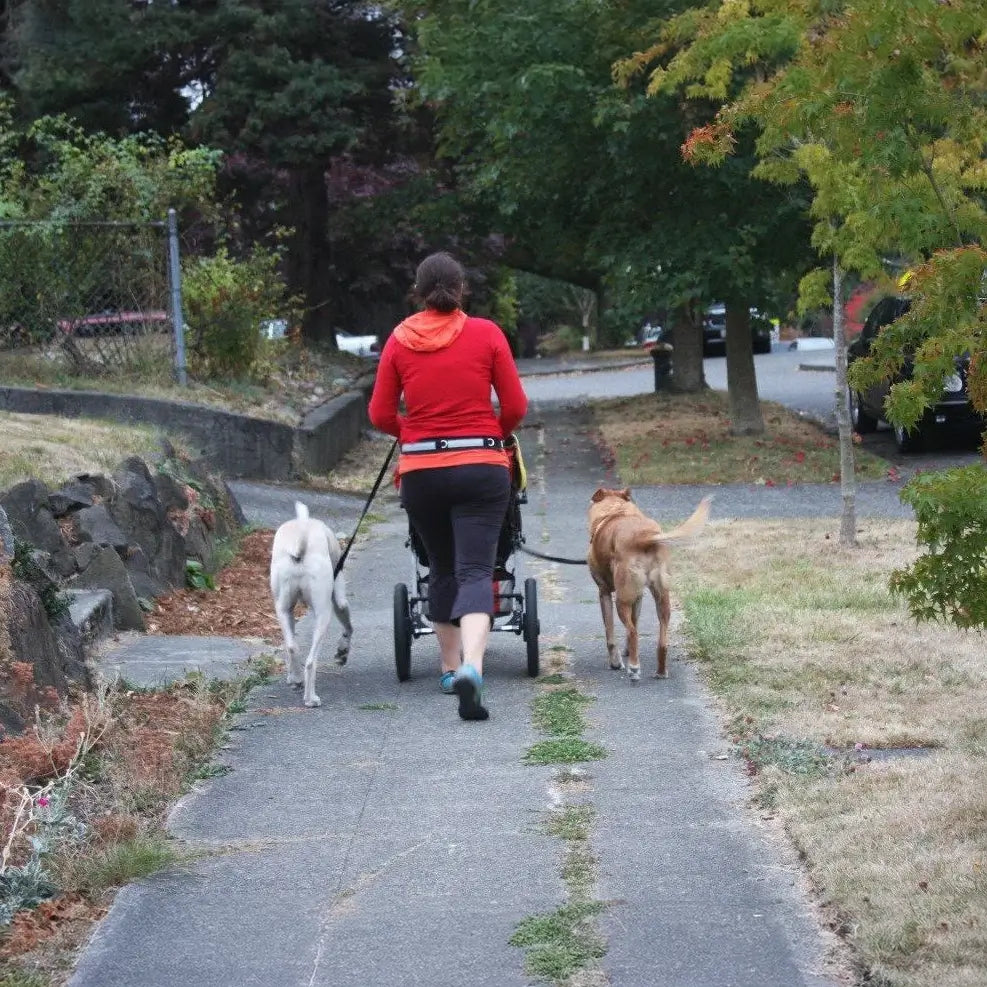 Dolan's Dog Doodads - Hands Free Walking/Jogging Belt