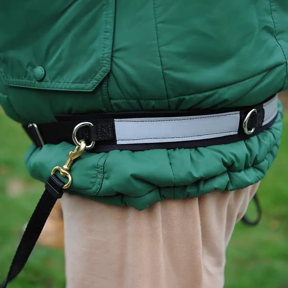 Dolan's Dog Doodads - Hands Free Walking/Jogging Belt