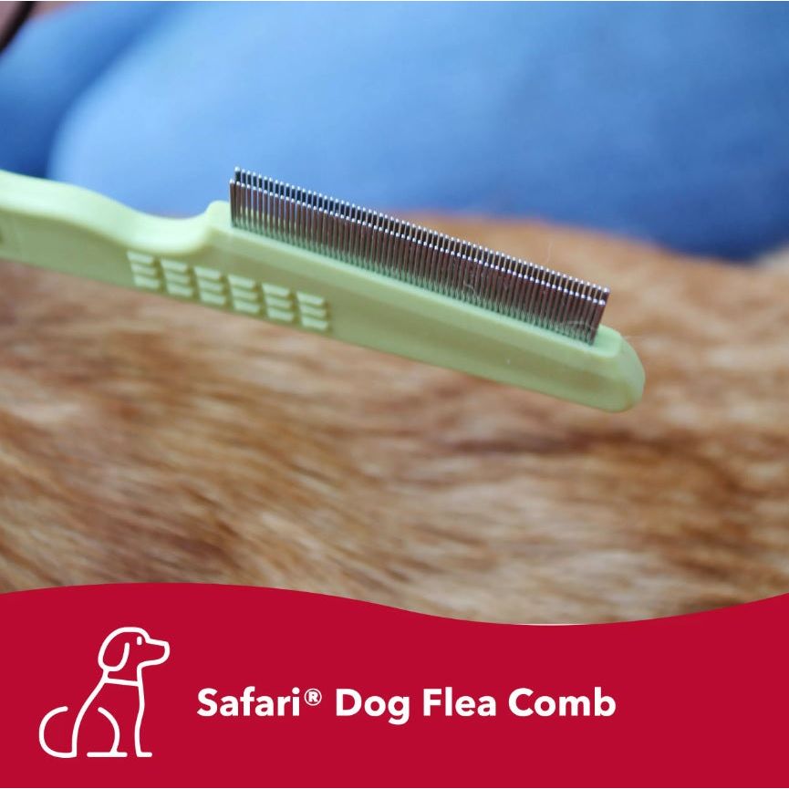 Safari - Double Row Flea Comb