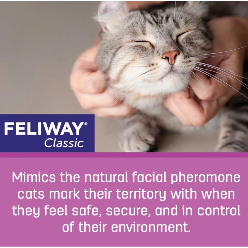 FELIWAY® Optimum Refill  Calming Cat Pheromone Diffuser – FELIWAY Shop