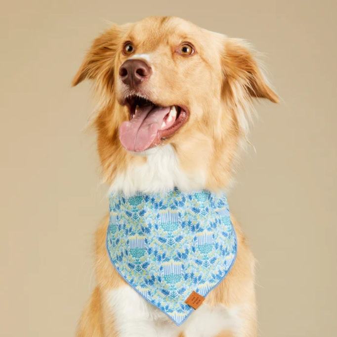 The Foggy Dog - Flora Menorah Bandana