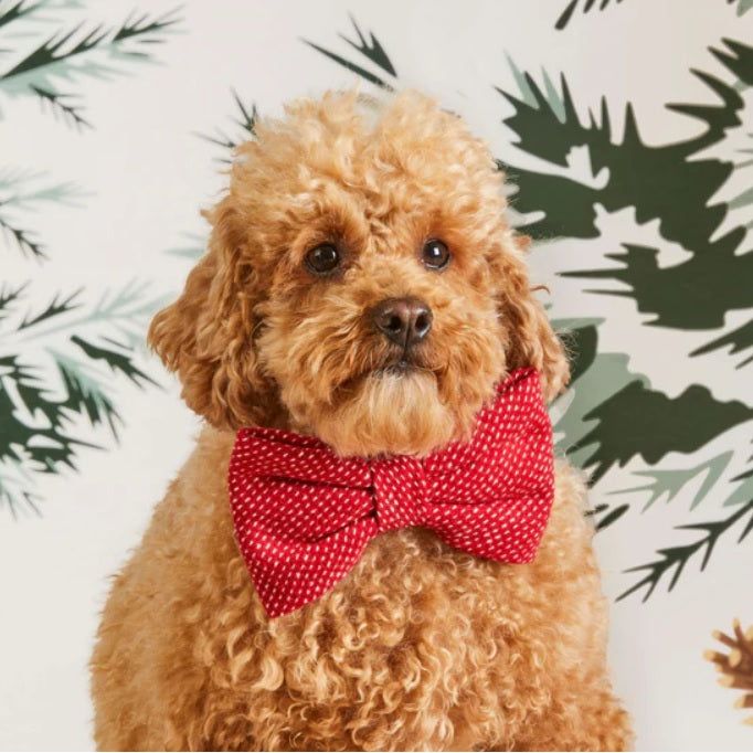 The Foggy Dog - Berry Stitch Flannel Bow Tie