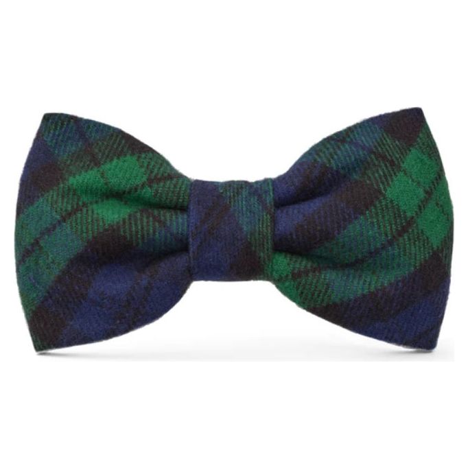 The Foggy Dog - Black Watch Bow Tie