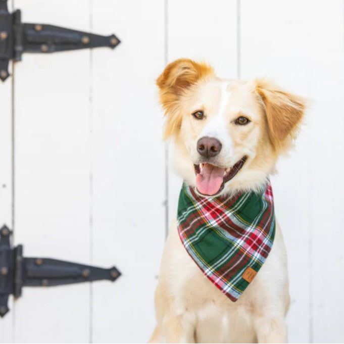 The Foggy Dog - Holly Jolly Flannel Bandana