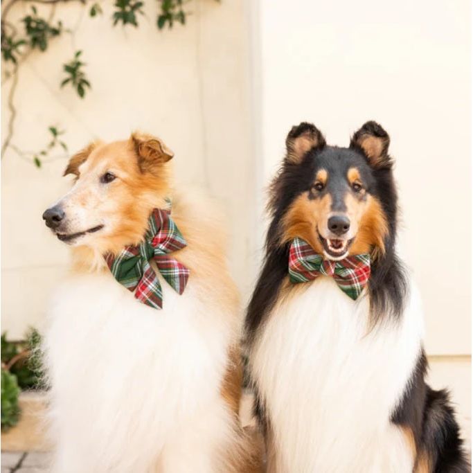 The Foggy Dog - Holly Jolly Flannel Bow Tie